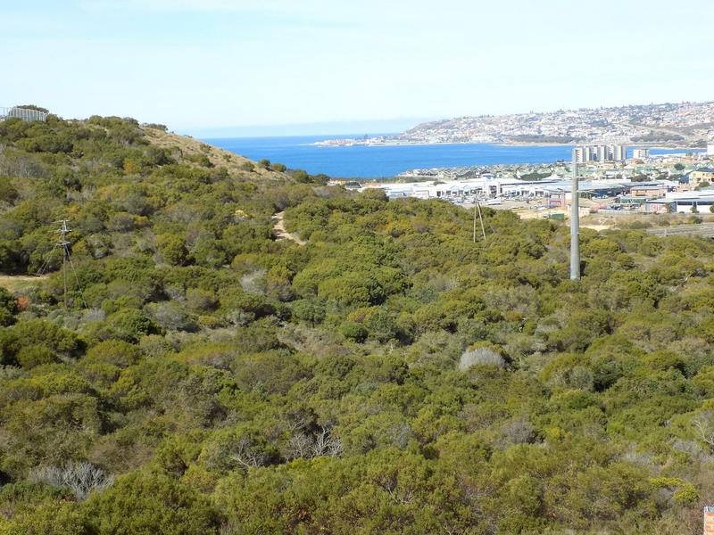 0 Bedroom Property for Sale in Seemeeu Park Western Cape